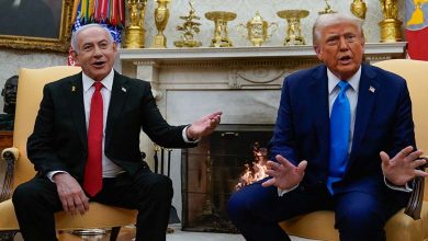 10 Countries and 2 Regions: The "Alternative Homelands" Proposed by Trump and Israel for Gaza Residents