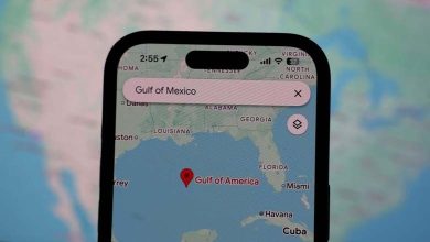 Google Renames Gulf of Mexico to "Gulf of America"