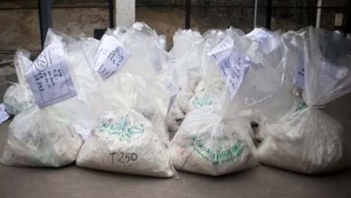 Italy Seizes Cocaine worth $132 Million