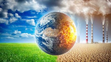 Scientists Warn the World is Entering a "New Climate Era"... What's the Cause?