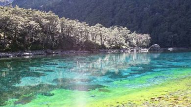 The World's Purest Lake Faces Pollution Threat from "Lake Mucus"