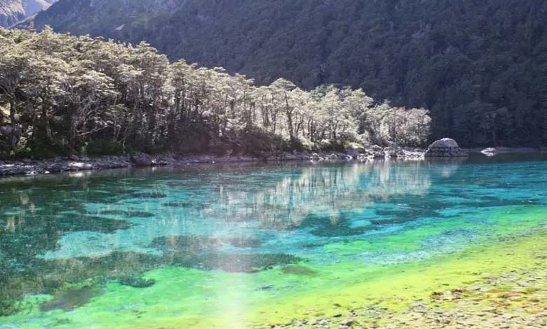 The World's Purest Lake Faces Pollution Threat from "Lake Mucus"