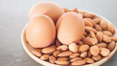 Eggs or Almonds? A Comparison of Their Protein Content