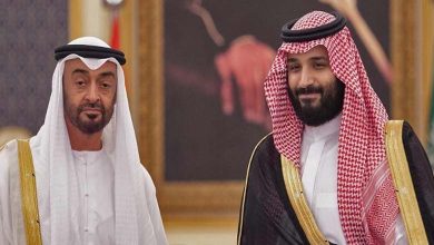 Foiling the Electronic Swarm Conspiracy: UAE-Saudi Warning Against Inciters of Discord