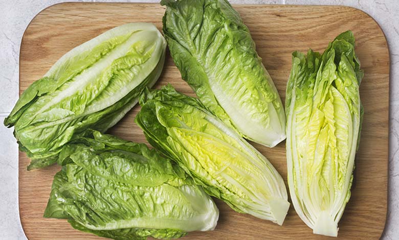 Lettuce at Suhoor... A Shield against Dehydration during Fasting