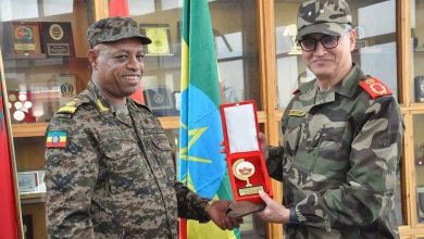 Morocco Strengthens Its Presence in Africa with Military Cooperation Agreements