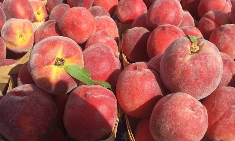 Peach Consumption on an Empty Stomach: A Beneficial Act for Cancer Prevention