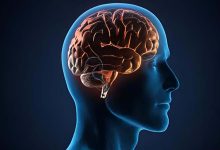 A Mental Pause - A Neurological Puzzle