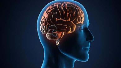 A Mental Pause - A Neurological Puzzle