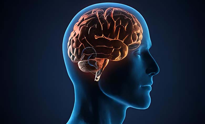 A Mental Pause - A Neurological Puzzle