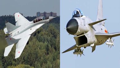 Chinese J-10C vs. Russian MiG-29M: Which Fighter Jet Is Best for Egypt?
