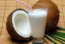 Coconut Water or Coconut Milk — Which is Healthier for You?
