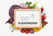 Flavonoids – Nature’s Defense Against Aging