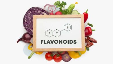 Flavonoids – Nature’s Defense Against Aging