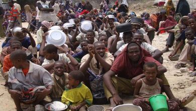 Food as a Weapon: How Jihadist Groups Use Famine to Expand Their Power in Africa