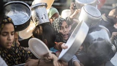 Hunger Precedes Aid: Food Warehouse Stormed in Gaza Amid Humanitarian Collapse