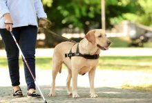 New AI-Powered Technologies Help the Blind Navigate Freely
