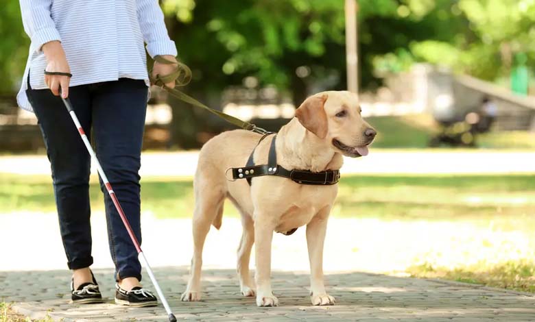 New AI-Powered Technologies Help the Blind Navigate Freely