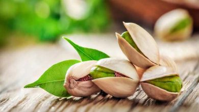 Pistachios: An Exceptional Nutritional Treasure for Children