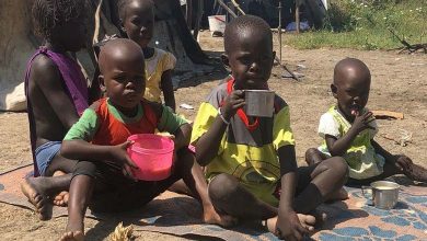 Political Analyst: Children Are the Greatest Victims of War and the International Community Selectively Ignores the Sudanese Tragedy
