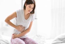 Profound Structural Effects: How the Menstrual Cycle Reshapes the Female Brain
