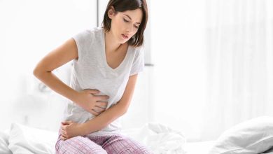 Profound Structural Effects: How the Menstrual Cycle Reshapes the Female Brain