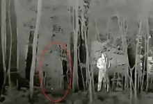 Russian Invisibility Cloaks: Optical Illusion or Deadly Trap?