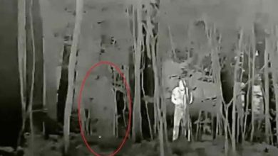 Russian Invisibility Cloaks: Optical Illusion or Deadly Trap?