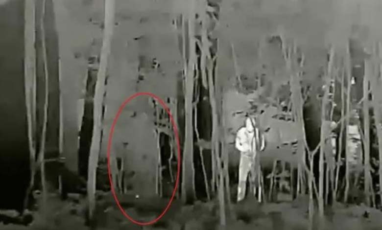 Russian Invisibility Cloaks: Optical Illusion or Deadly Trap?