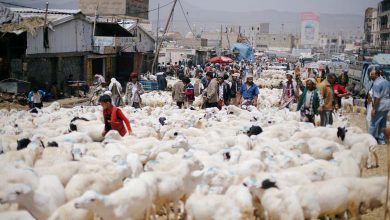 Waddah Bin Attiyah: Houthis Exploit Eid al-Adha to Intensify Violations Against Yemenis