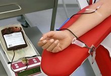 Does Donating Blood Cause Weight Gain?