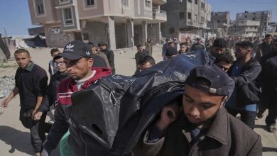 Gaza Latest: 31 Killed by Israeli Fire Near Aid Center