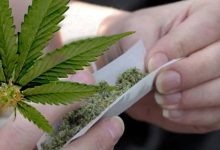 Marijuana and the Heart: A Silent Risk Increasing with Use