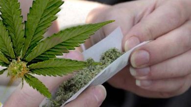 Marijuana and the Heart: A Silent Risk Increasing with Use
