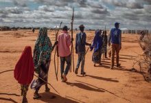 Somalia Calls for End to International Support Mechanism Despite Fragile Situation