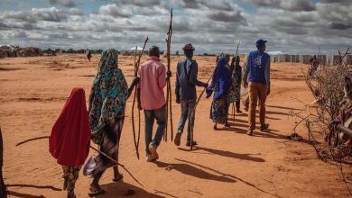 Somalia Calls for End to International Support Mechanism Despite Fragile Situation