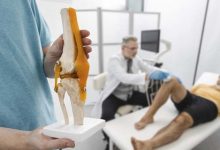 The Path to Treating Knee Pain May Begin in the Ear