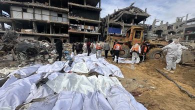 The Story of Two Grandchildren May Reopen the Genocide File in Gaza… Will France Take Action?