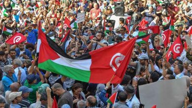 Tunisia’s Muslim Brotherhood and the Exploitation of the Palestinian Cause: A Fake Window for a Political Comeback
