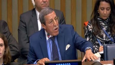 Widespread Rejection of Misrepresentations in UN Security Council Report on the Moroccan Sahara