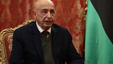 Al-Mishri and Aguila Saleh discuss steps to form a new government in challenge to Dbeibah