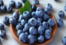 Blueberries: A Superfruit for Longevity