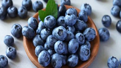 Blueberries: A Superfruit for Longevity