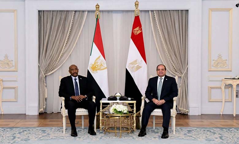 Egypt and the Quiet Veto: Who Derailed the Washington Summit on Sudan?