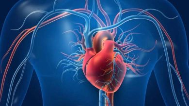 For Your Heart’s Health… Cut Out Trans Fats Immediately