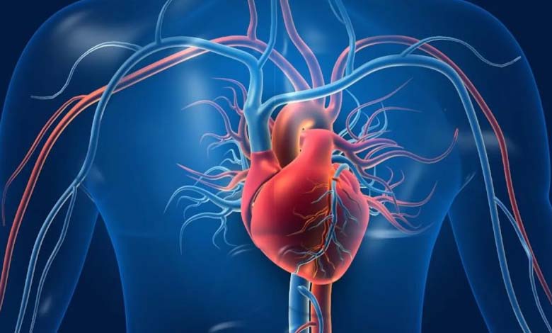 For Your Heart’s Health… Cut Out Trans Fats Immediately