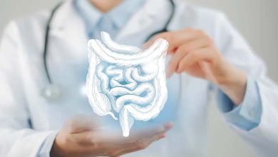 Gut Health After 40: The Changes You Need to Know