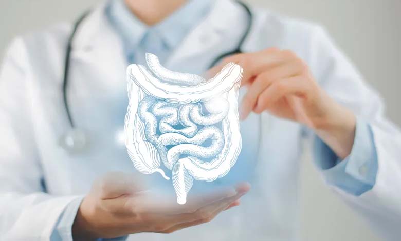 Gut Health After 40: The Changes You Need to Know
