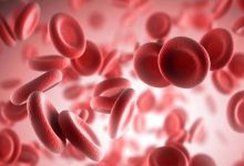 Gwada-Negative: How Scientists Discovered the Rarest Blood Type in the World