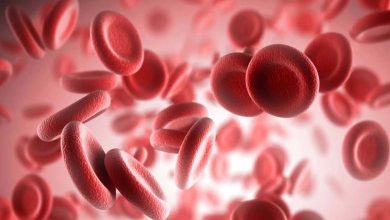 Gwada-Negative: How Scientists Discovered the Rarest Blood Type in the World